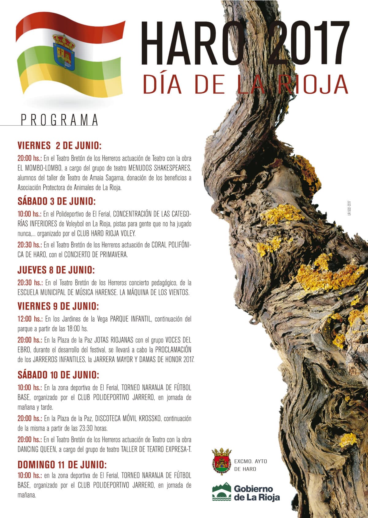 El programa de actos del Ayuntamiento de Haro para celebrar el Día de La Rioja 1