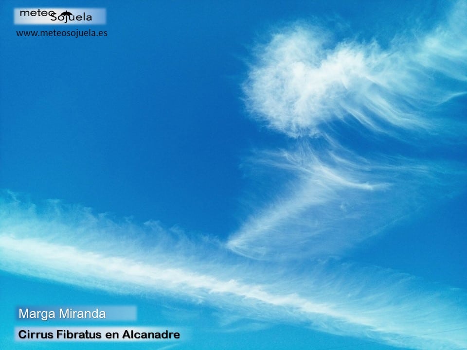 Fin de semana revuelto 5 Fin de semana revuelto 5