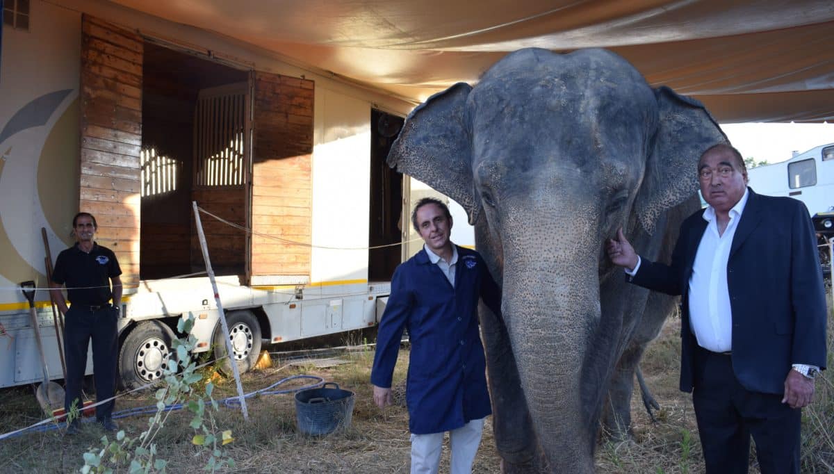 "Me han gritado maltratador y eso me ha dolido" 2