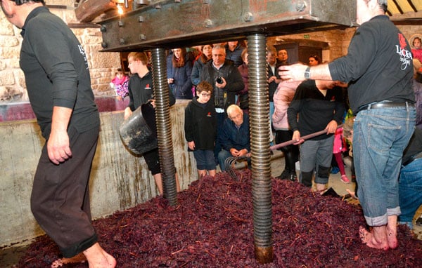 San Asensio revivirá el vino de antaño con el Pisado de la Uva de Bodegas Lecea 2
