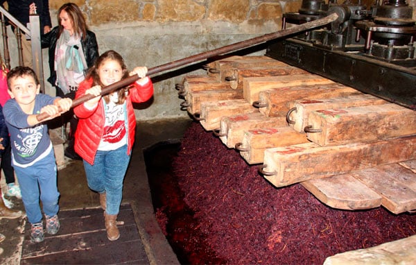 San Asensio revivirá el vino de antaño con el Pisado de la Uva de Bodegas Lecea 3