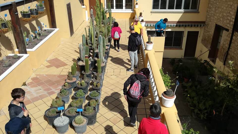 El paseo por el Jardín Botánico y por San Juan del Monte reúne a unos 50 participantes 4