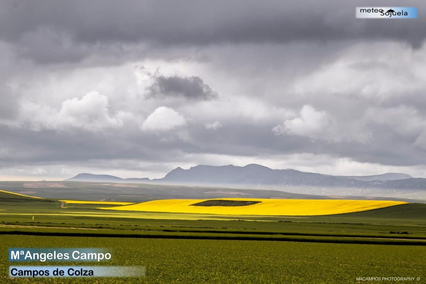 Primavera en estado puro: el tiempo enloquecido 9