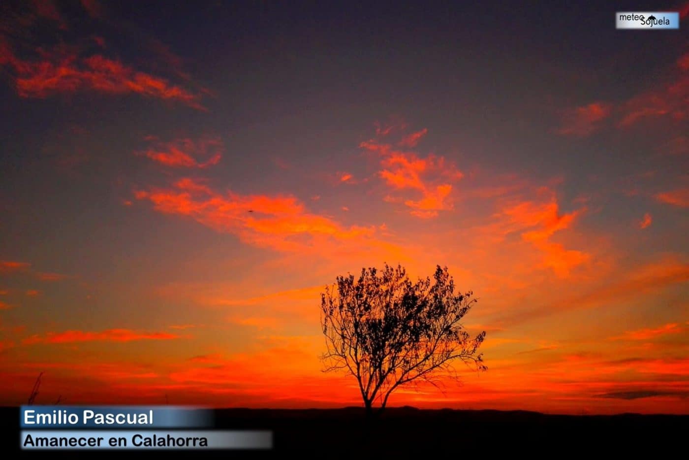 El calor regresa la próxima semana: temperaturas en ascenso a partir del domingo 4