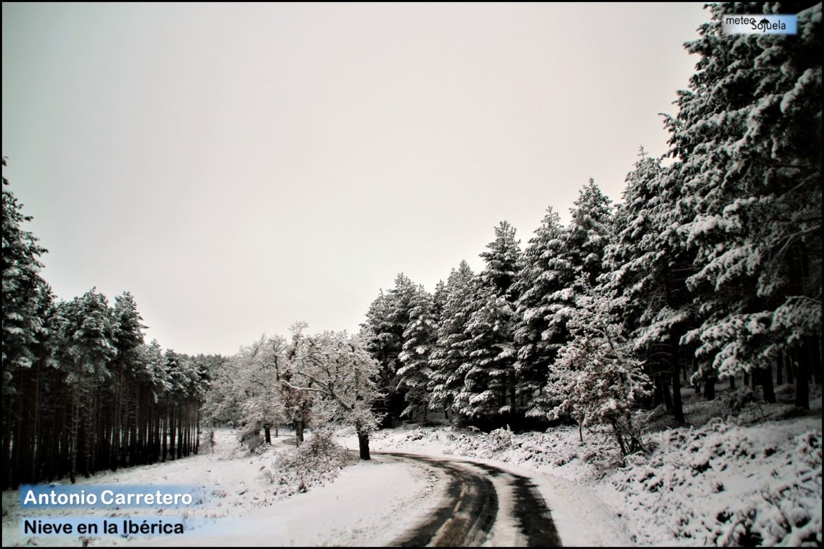 Ambiente invernal para toda la semana: avisos por riesgo de nevadas y por viento en toda La Rioja 8