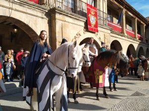 Ferias de la Concepción