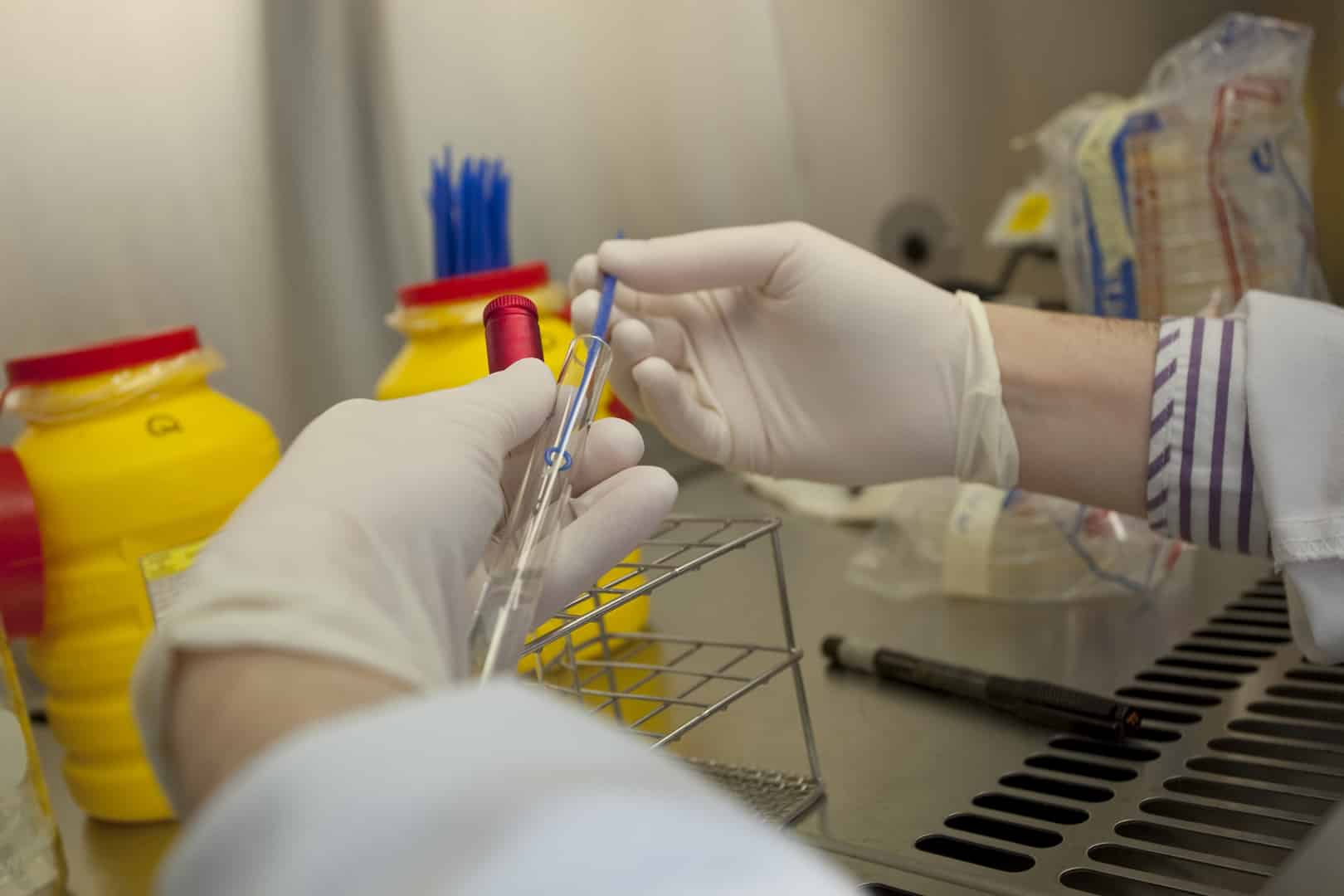 Laboratorio