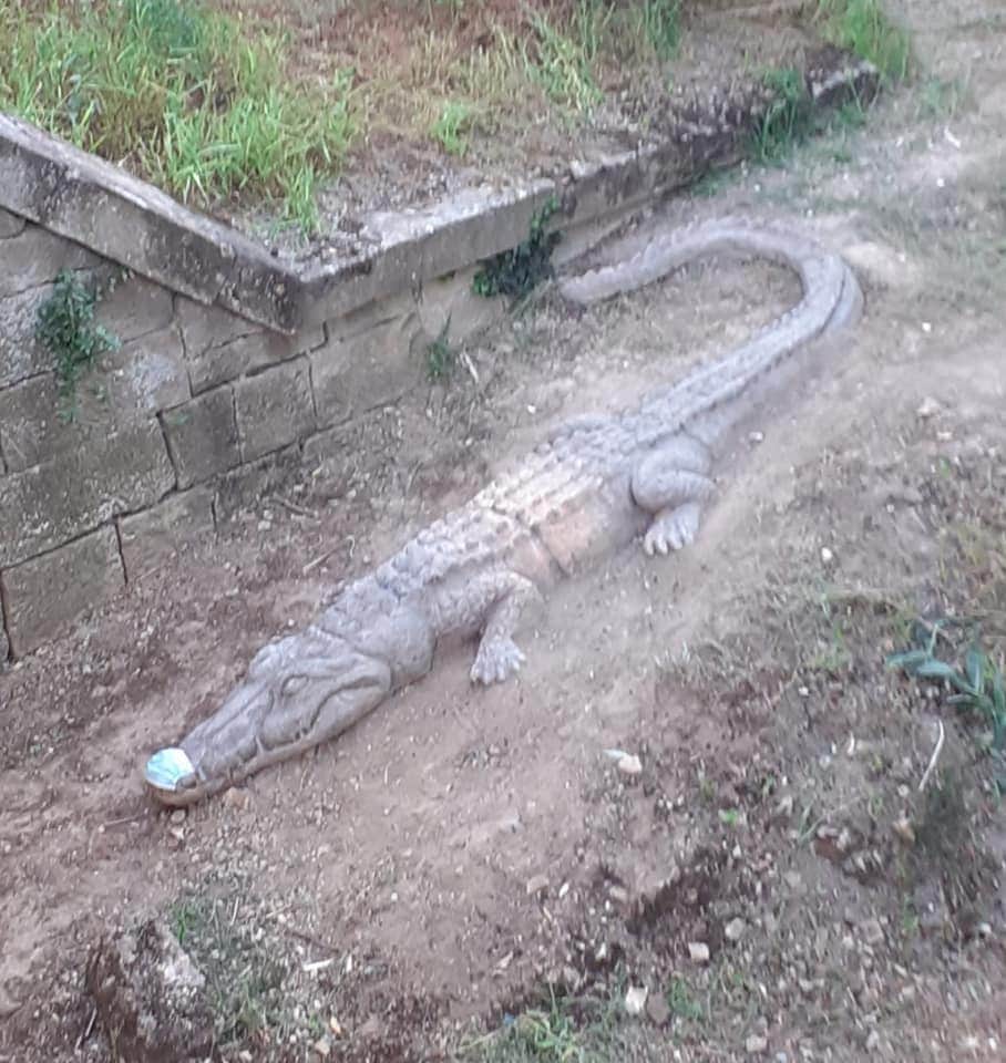 El cocodrilo del Mardancho regresa a Sajazarra 2