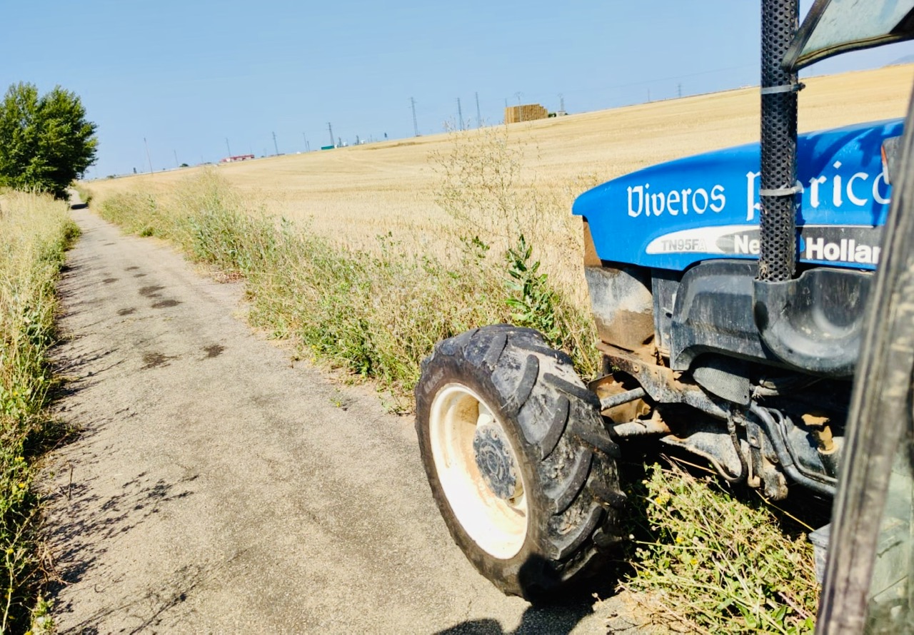 Labores de acondicionamiento