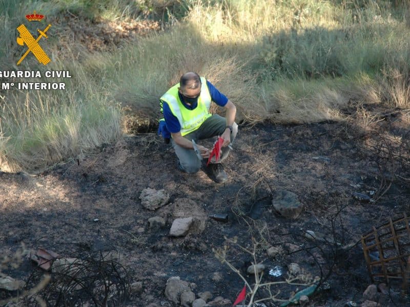 Incendio forestal