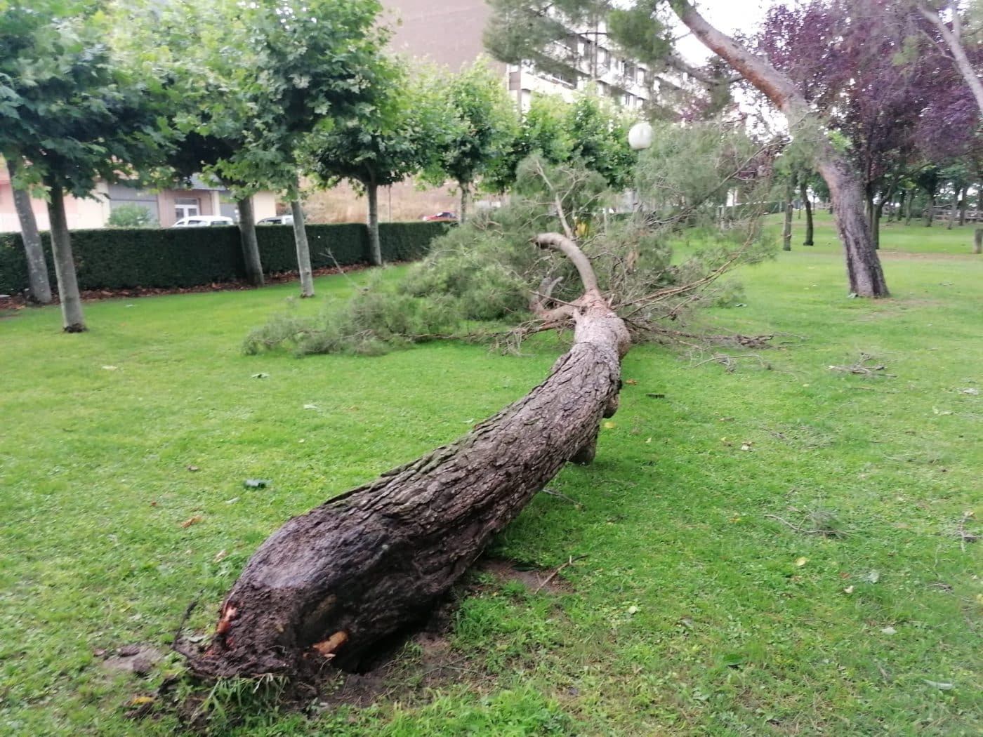 Una aparatosa tormenta deja varios destrozos en Haro 7 Una aparatosa tormenta deja varios destrozos en Haro 7