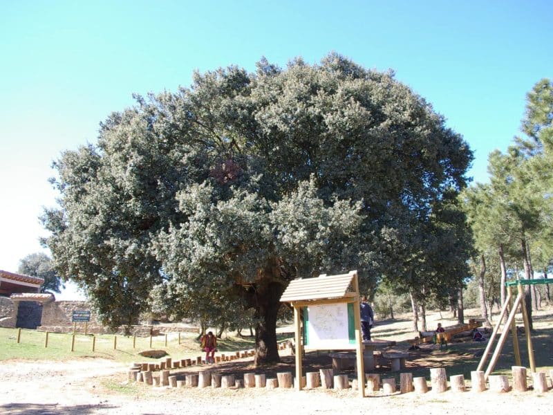Área recreativa de Villarroya