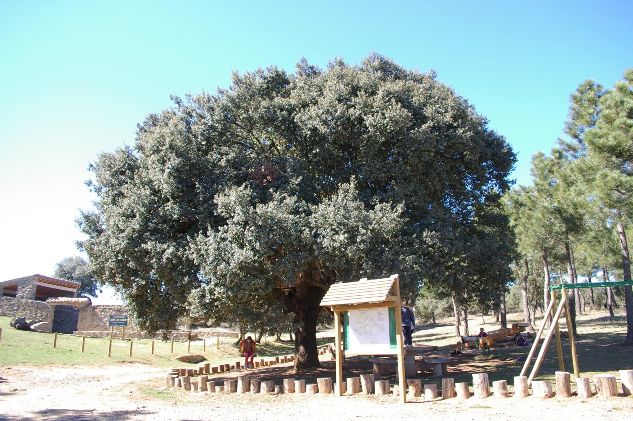 Área recreativa de Villarroya