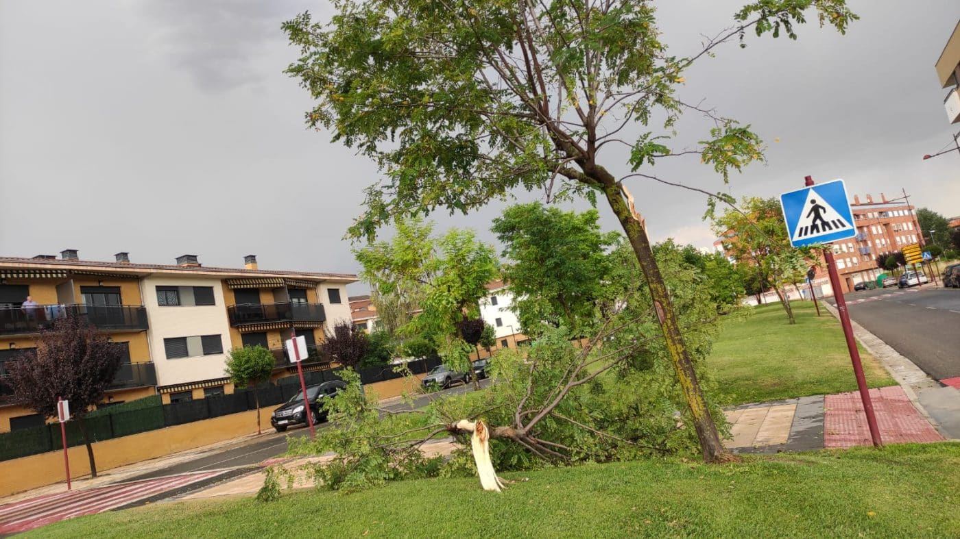 Una aparatosa tormenta deja varios destrozos en Haro 3 Una aparatosa tormenta deja varios destrozos en Haro 3