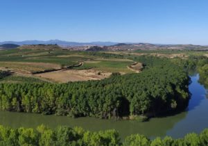 Paisaje de La Rioja