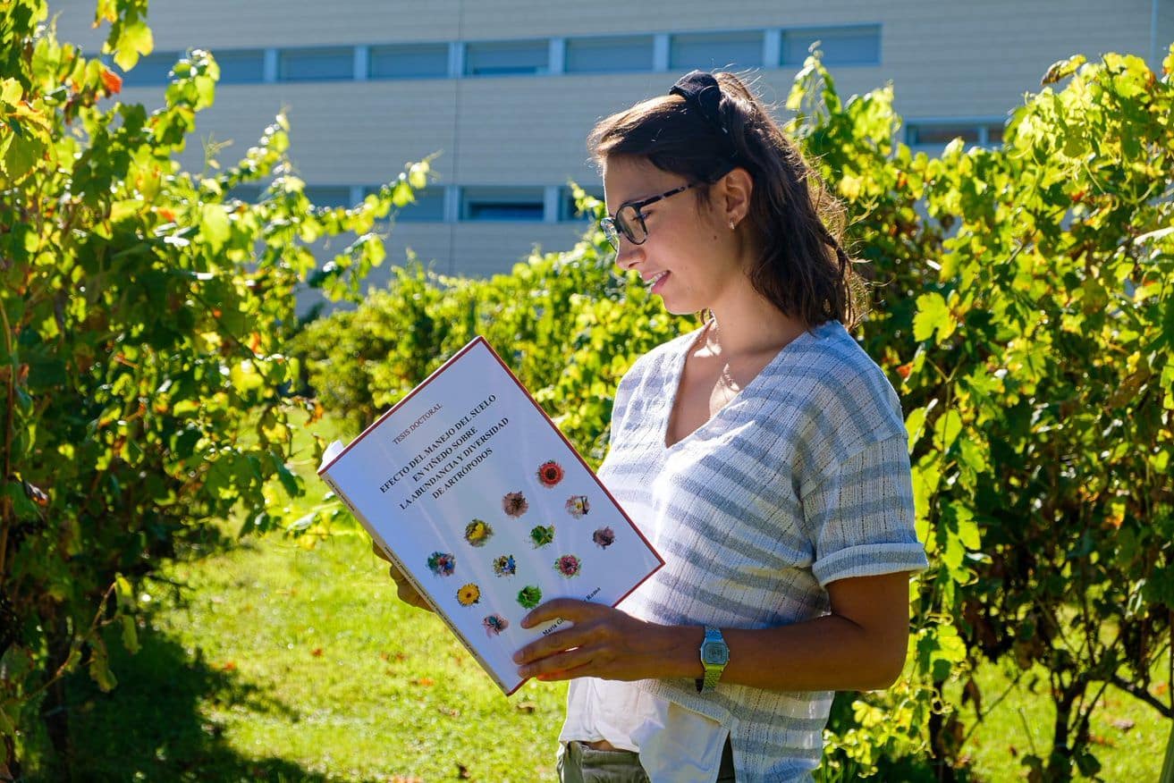 Tesis sobre viticultura sostenible