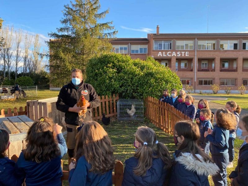 Granja en el Colegio Alcaste