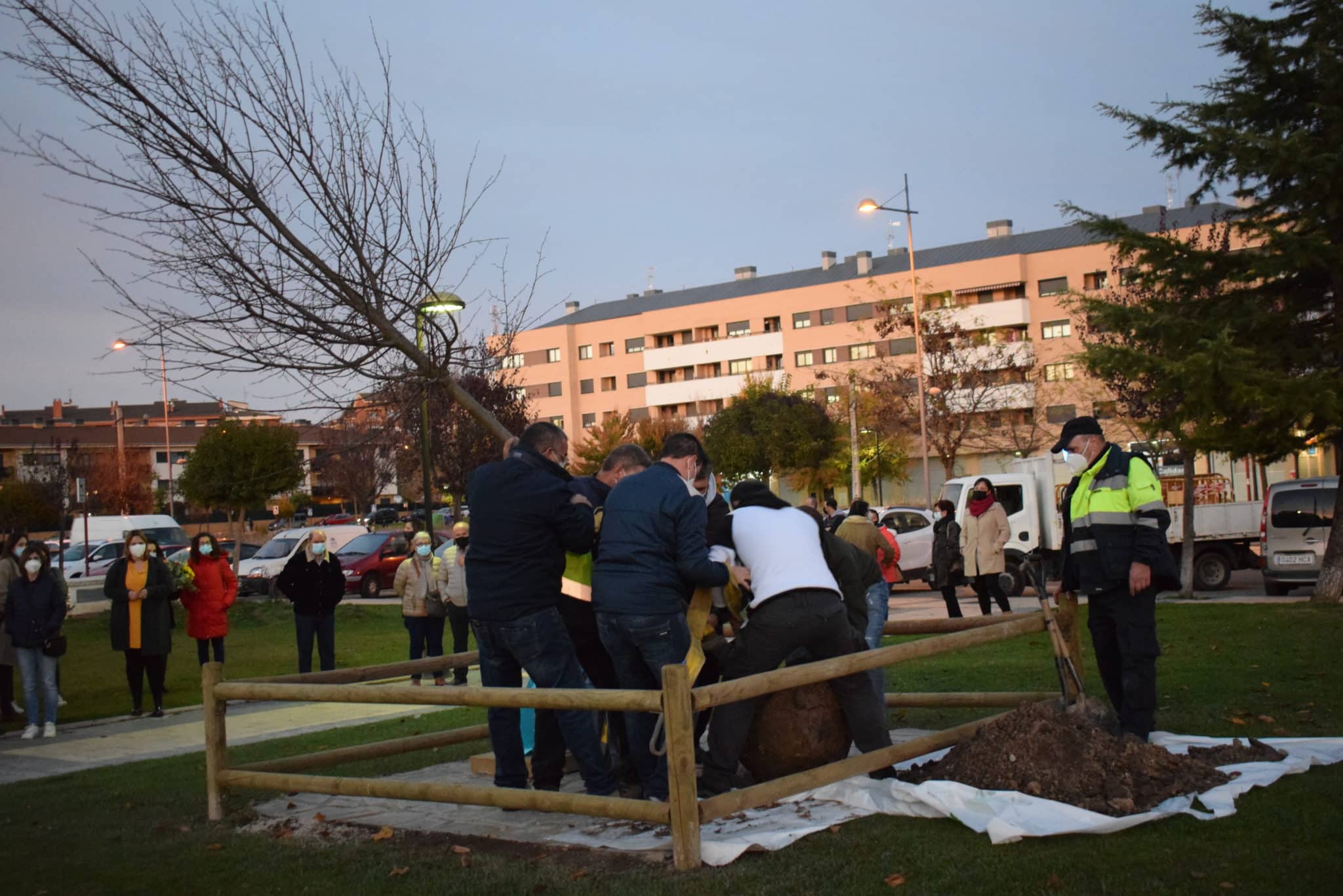 Un árbol en recuerdo de Carolina 2