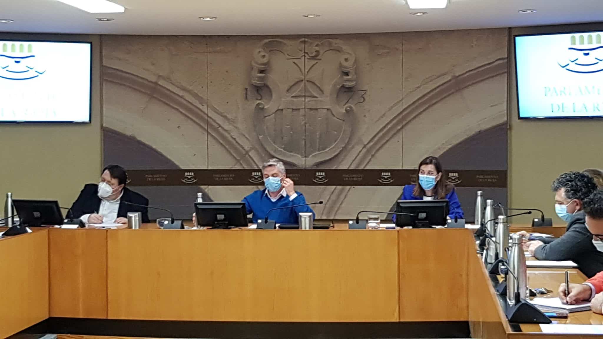 Comparecencia parlamento