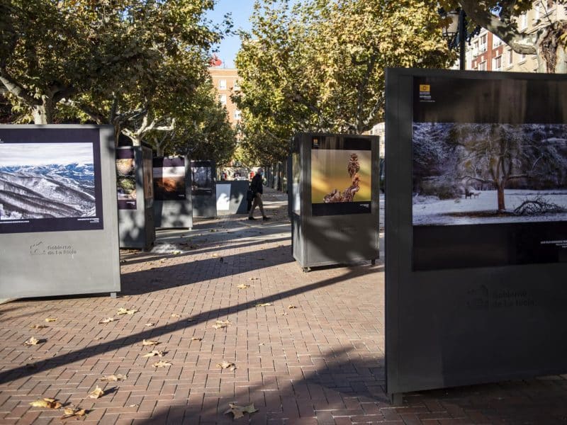 Exposicion naturaleza