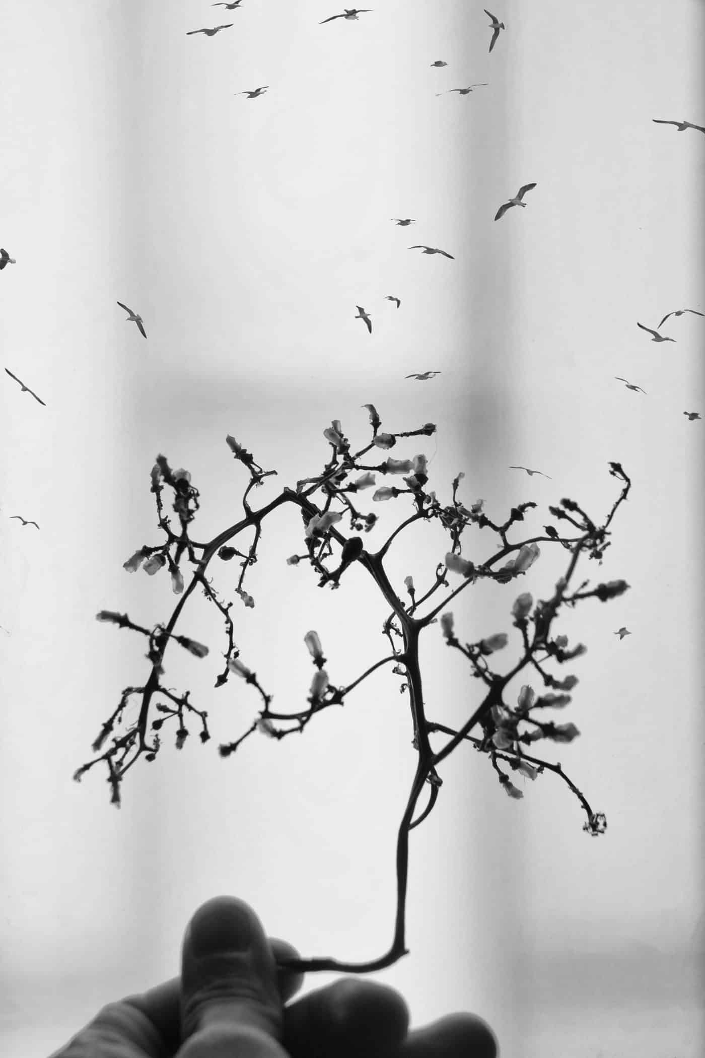 La obra 'Cascadas de Haro', ganadora del primer premio del XXII Concurso de Fotografía 'El Rioja y los 5 Sentidos' 2