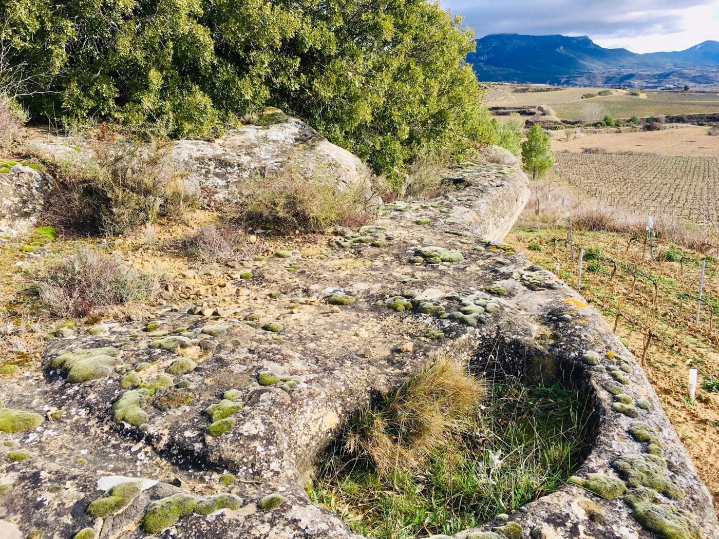 Ruta de los lagares rupestres