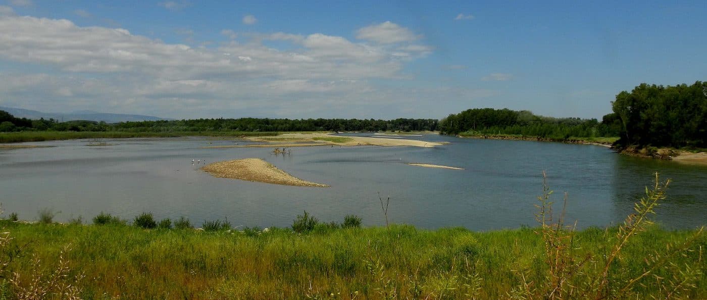 Casi 3.600 aves invernan en los humedales de La Rioja 2