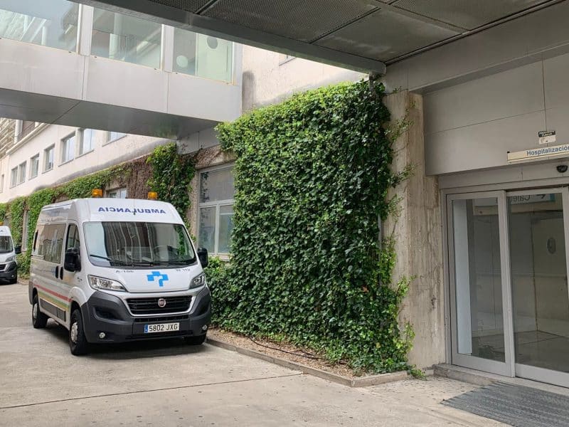 Hospitalización