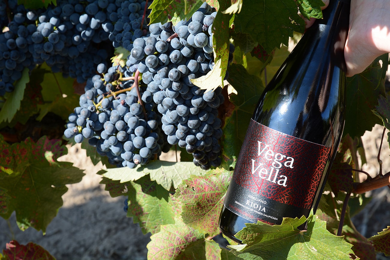 Vega Vella Graciano