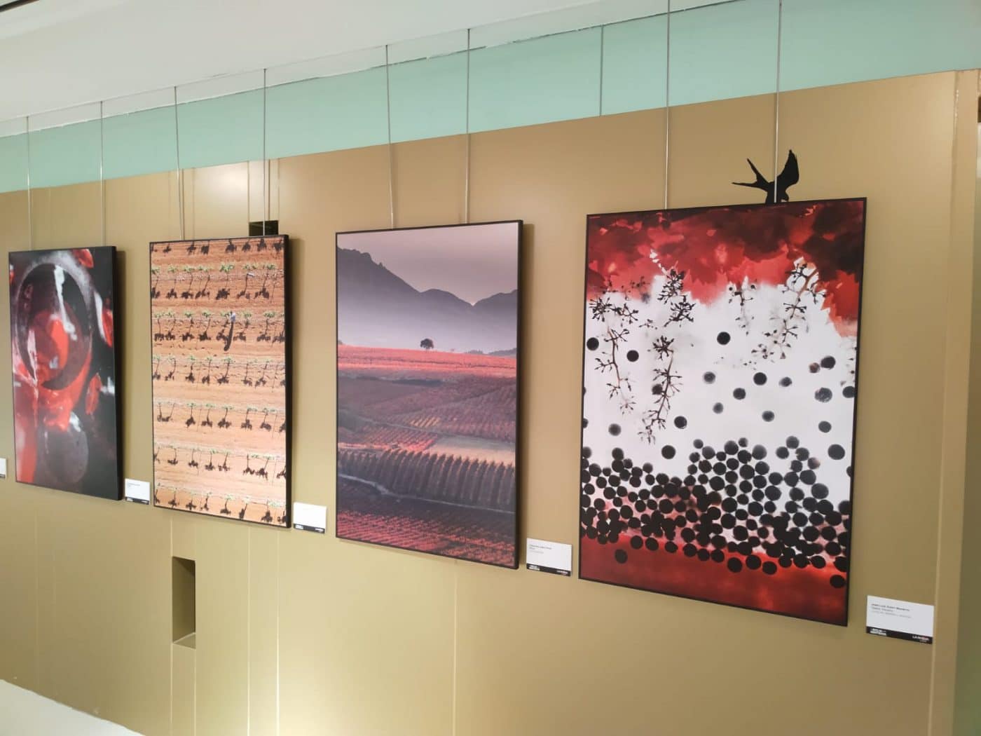 Santo Domingo acoge la exposición de fotografías 'El Rioja y los 5 Sentidos' 2 Santo Domingo acoge la exposición de fotografías 'El Rioja y los 5 Sentidos' 2