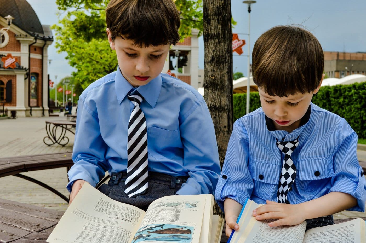 Lectura