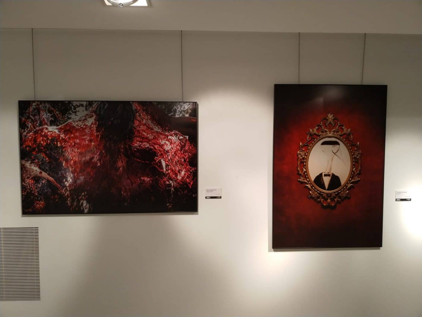 El Rioja y los 5 Sentidos