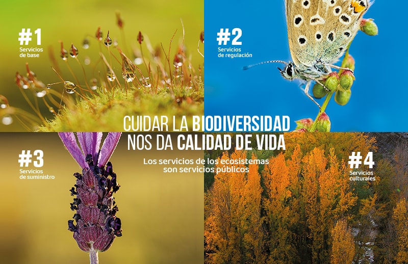 Ecosistemas