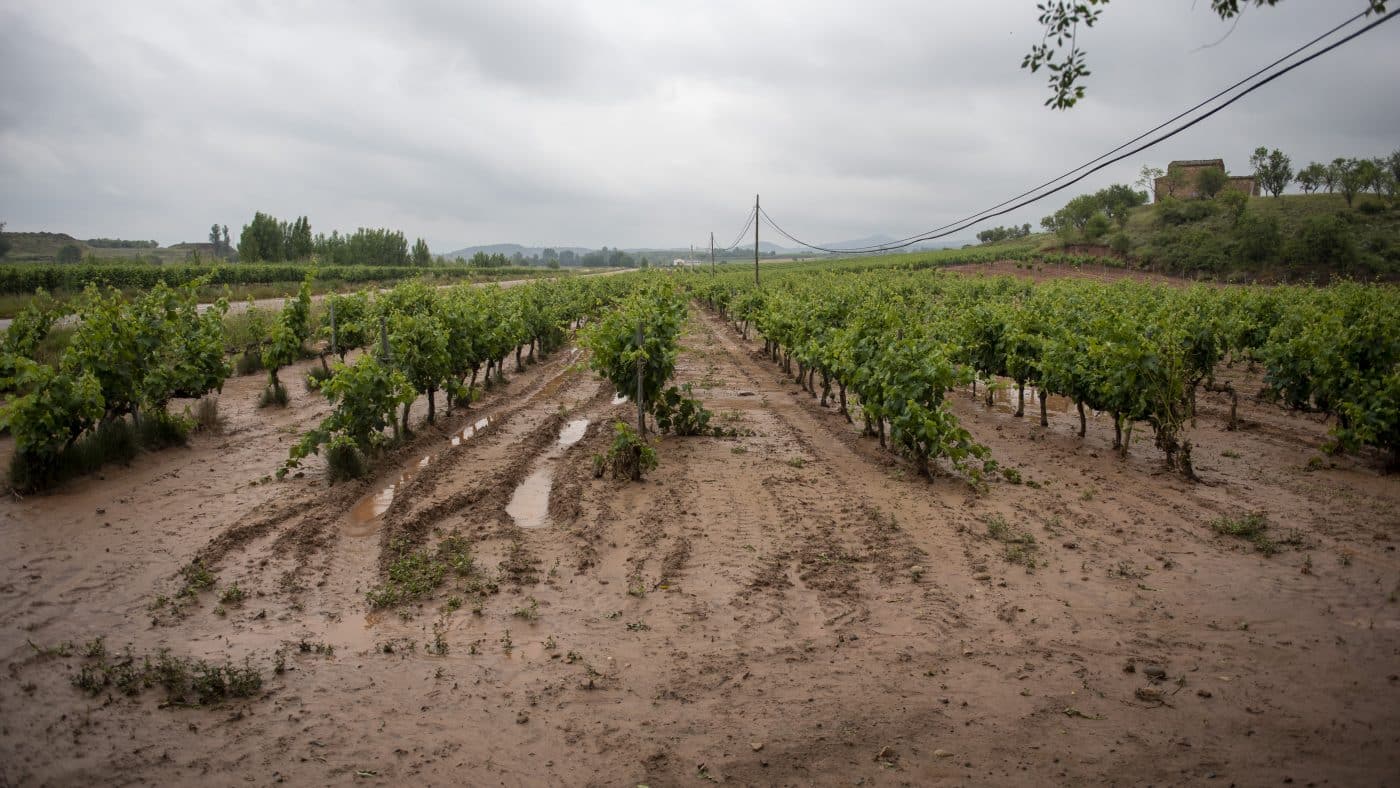 El Gobierno riojano realizará mejoras en Ollauri y Navarrete para favorecer la canalización tras las tormentas 22