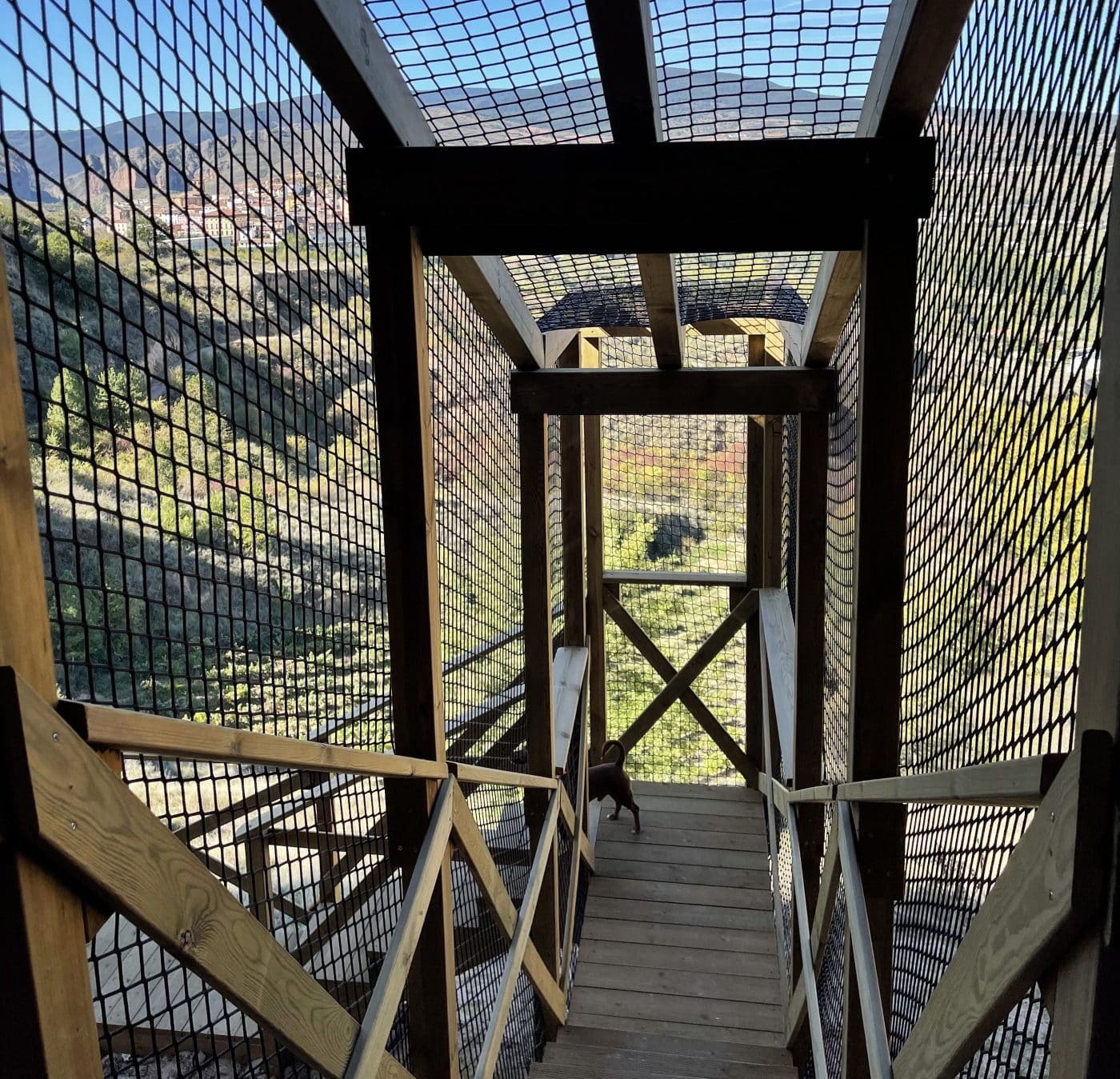 Nalda pone a punto su conjunto de cuevas de Los Palomares 3 Nalda pone a punto su conjunto de cuevas de Los Palomares 3