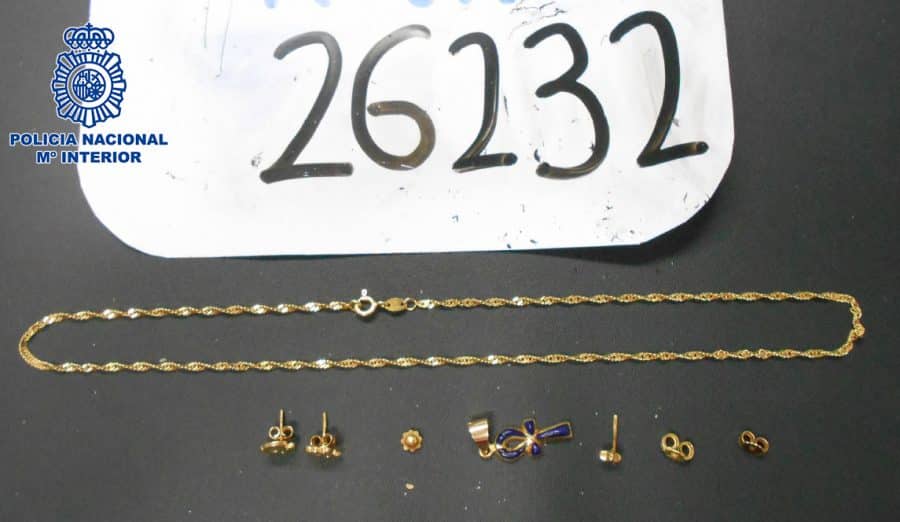 Detenidos dos jóvenes por la sustracción de gran cantidad de joyas y piezas de valor en dos viviendas de Logroño 1