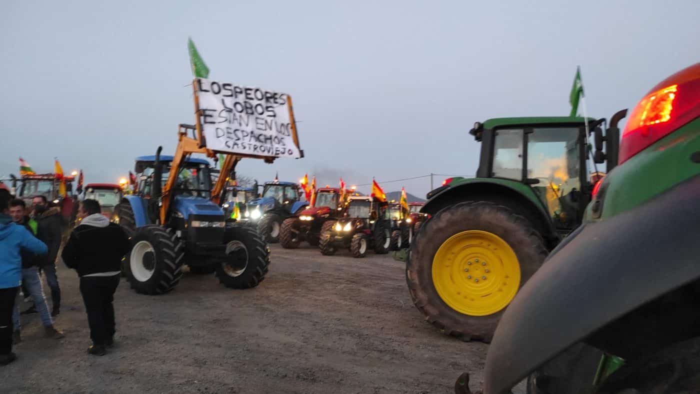 'Tractorada' en defensa del campo riojano: "Por un futuro con agricultores y ganaderos" 3