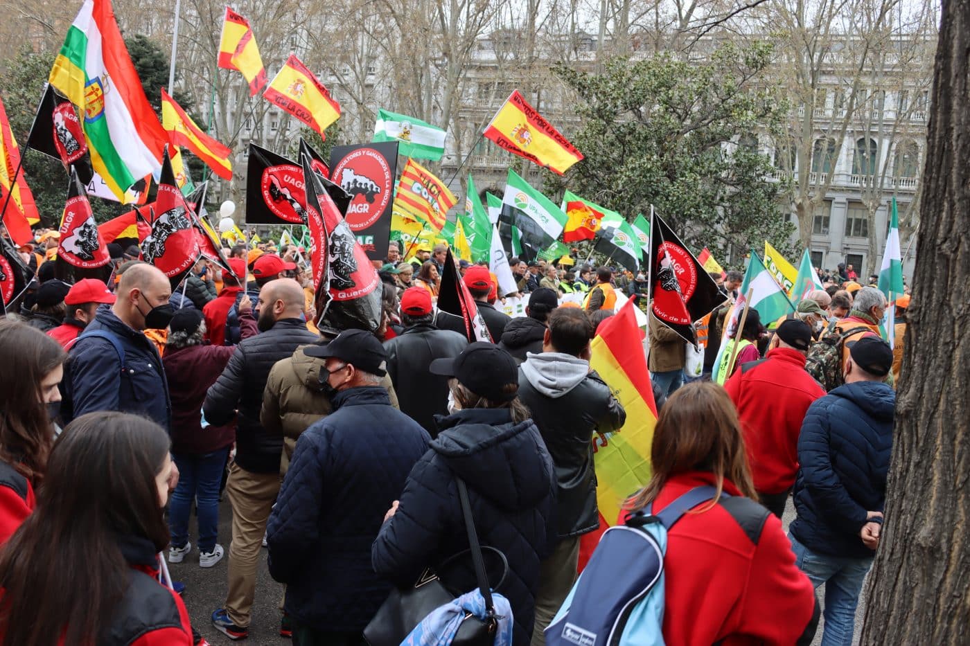 UAGR-COAG califica de "éxito rotundo" la manifestación en Madrid de los hombres y mujeres del campo 6