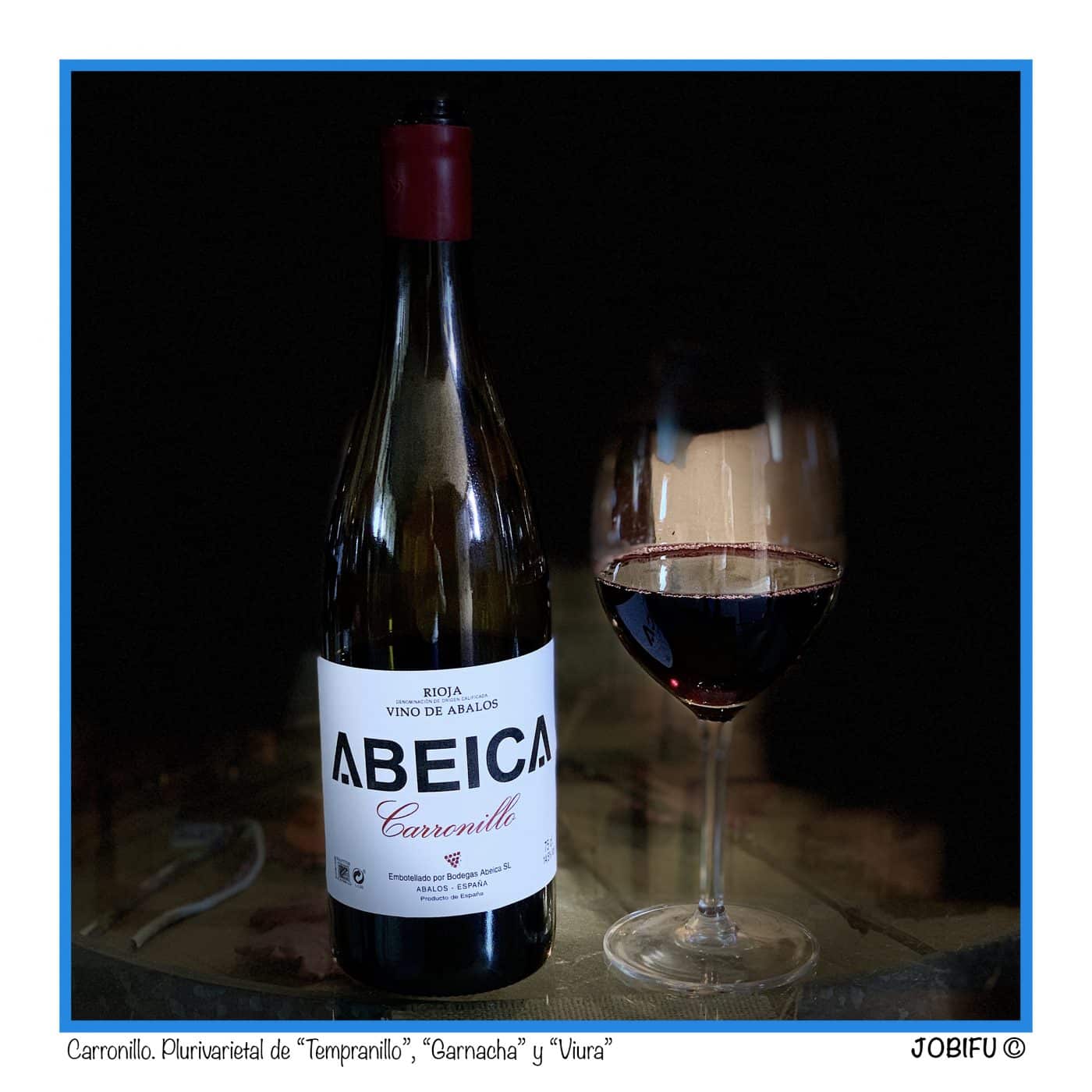 Bodegas Abeica, viticultura viva y tradición 4