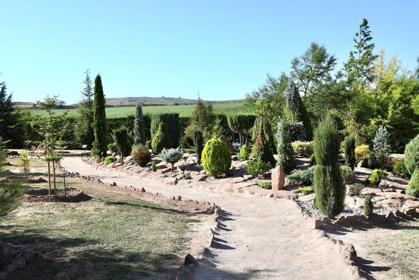 El Jardín Botánico de La Rioja exhibe una de las mejores colecciones de coníferas de España 2