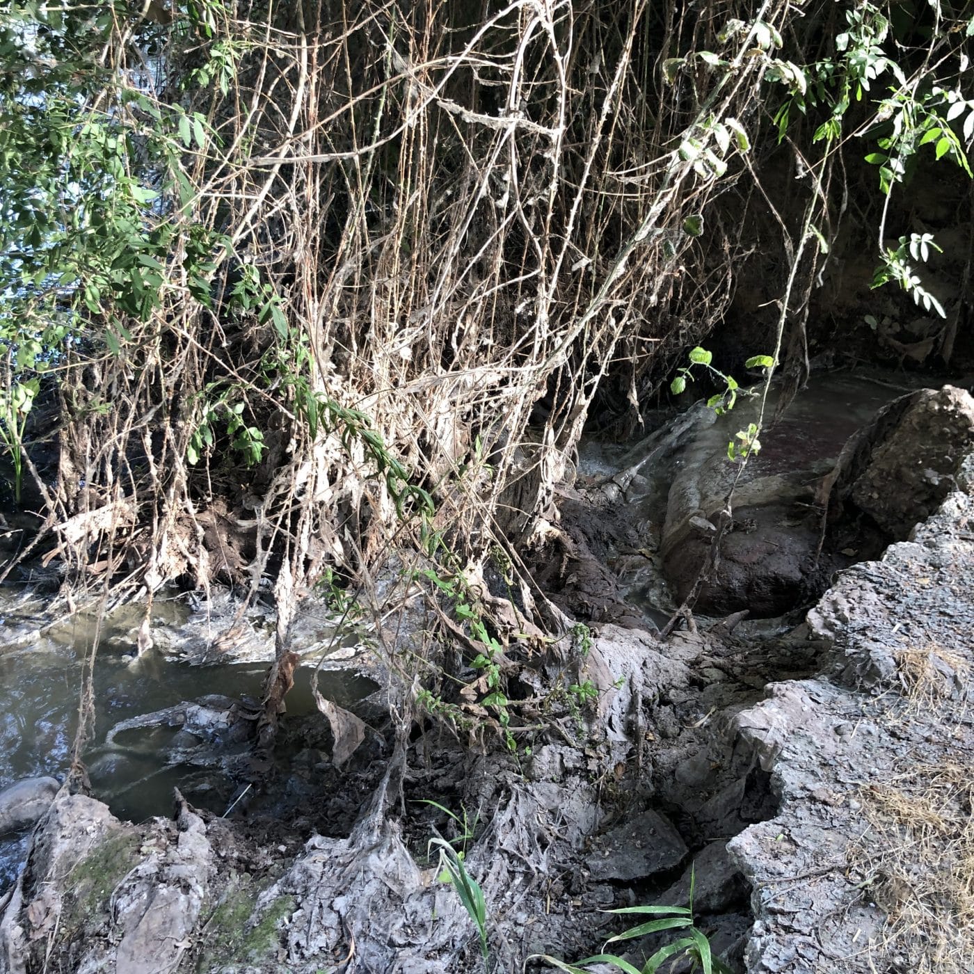 Denuncian que el Ayuntamiento de Nájera es "incapaz" de solucionar el vertido de aguas residuales al Najerilla 3