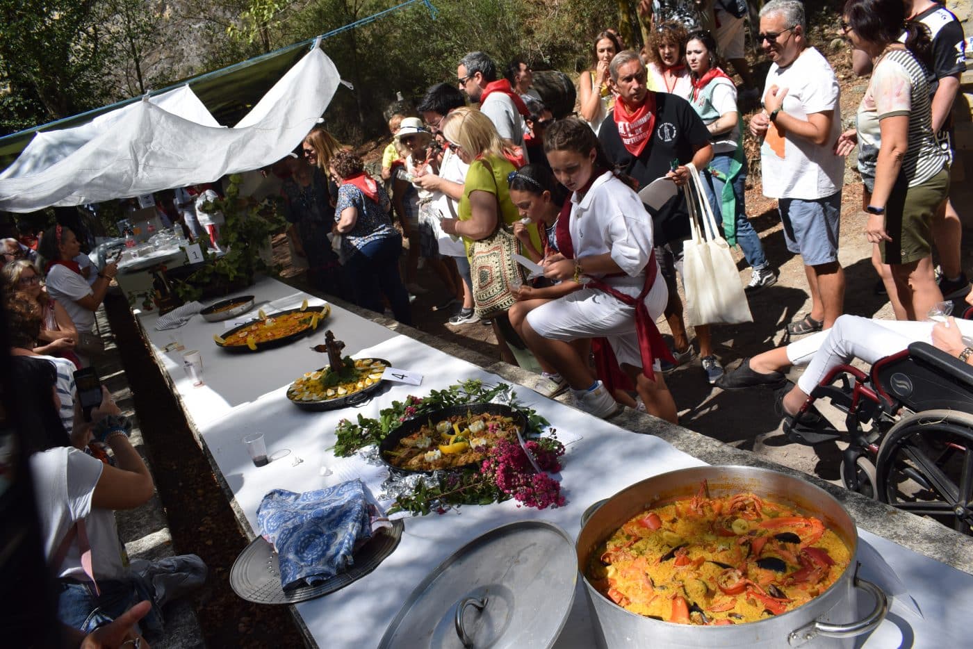 FOTOS: Haro vuelve a celebrar la romería del Primer Domingo de Septiembre 14