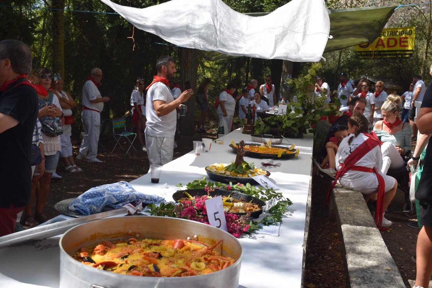 FOTOS: Haro vuelve a celebrar la romería del Primer Domingo de Septiembre 12
