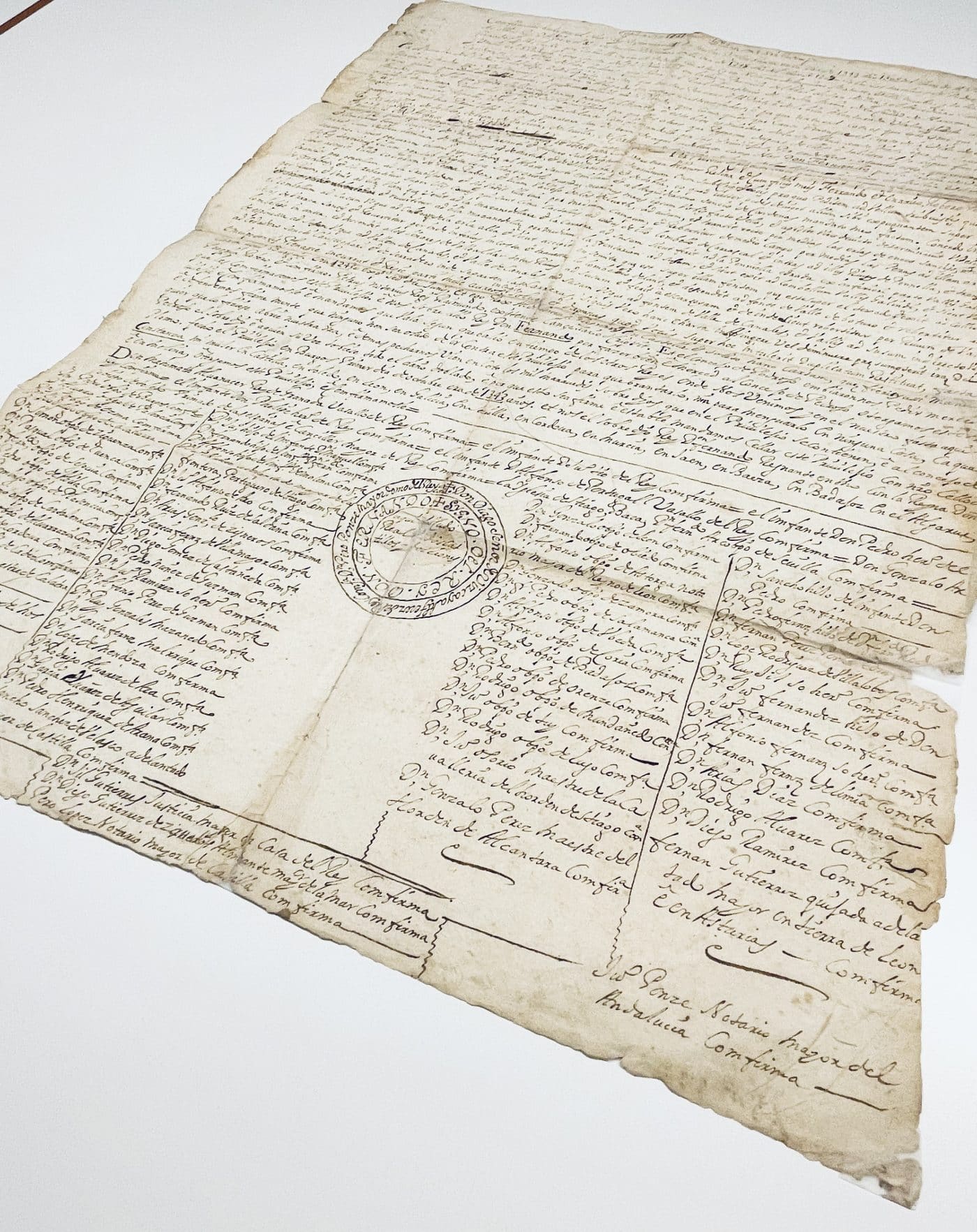 La Rioja recupera un antiguo documento donde se traducen dos privilegios dados a Pedroso por Alfonso VIII 1