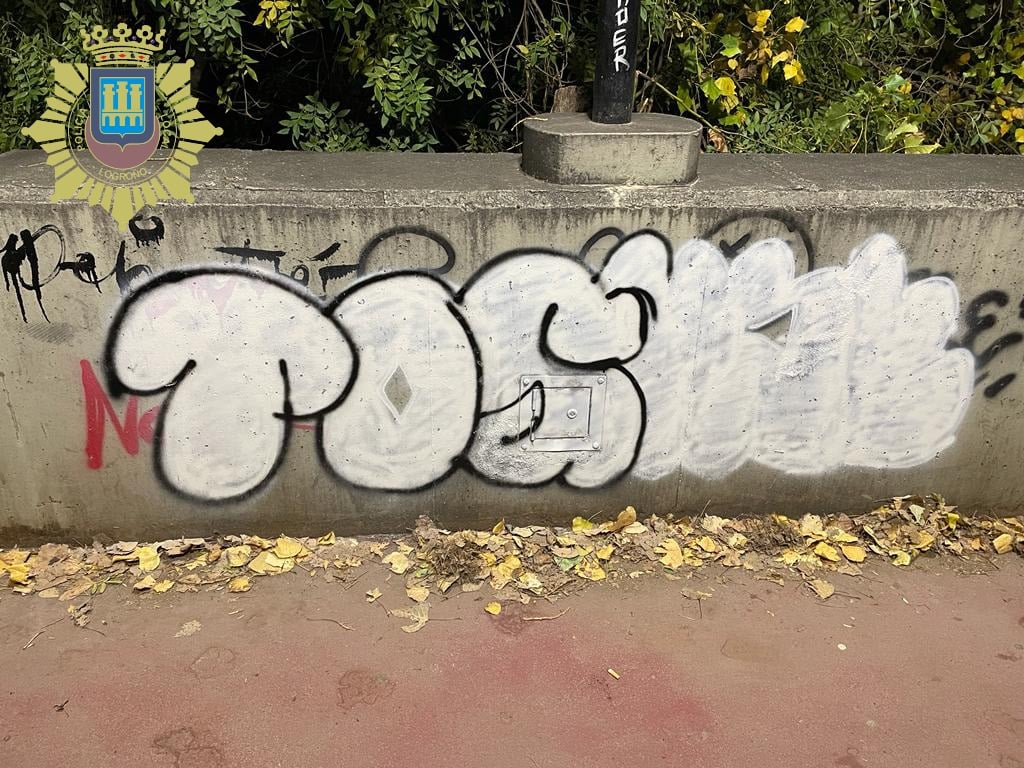 Denunciados dos grafiteros por realizar pintadas en el parque del Ebro 3