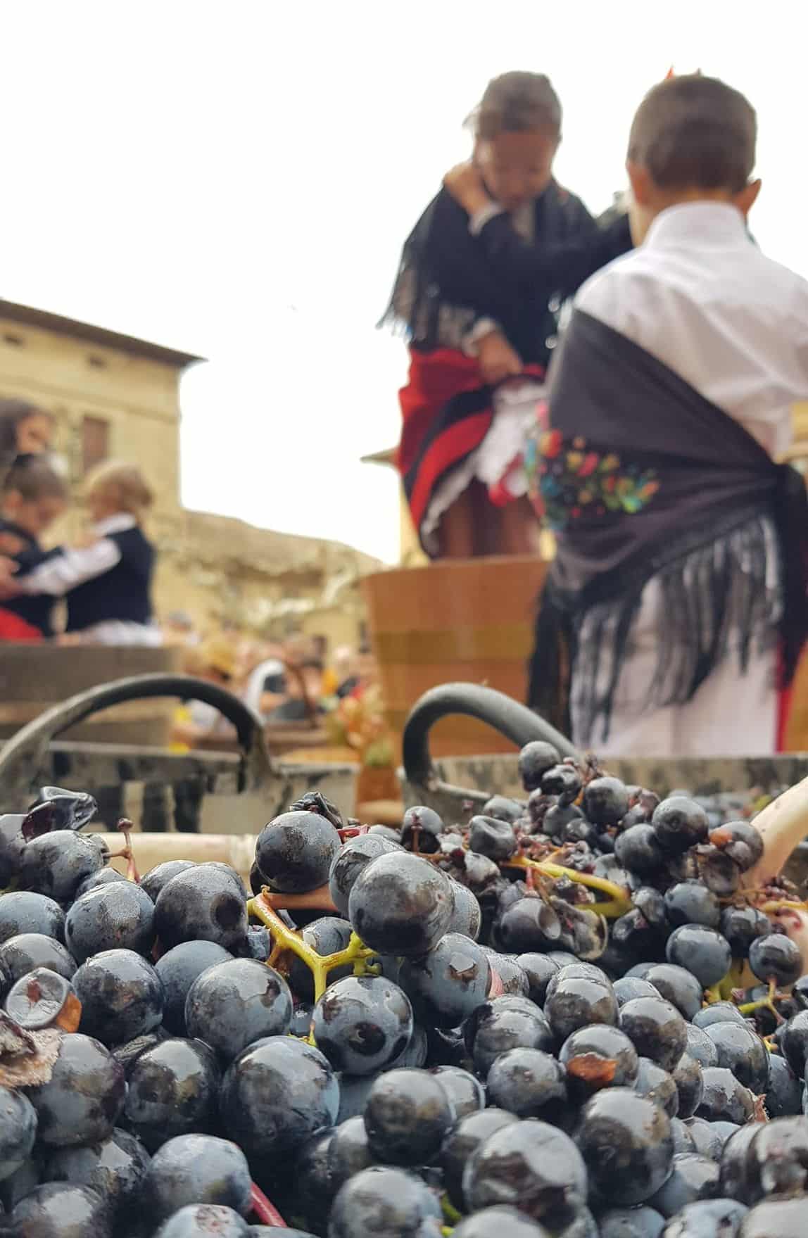 FOTOS: Cuzcurrita se llena de público en su jornada dedicada al arte y al vino 7
