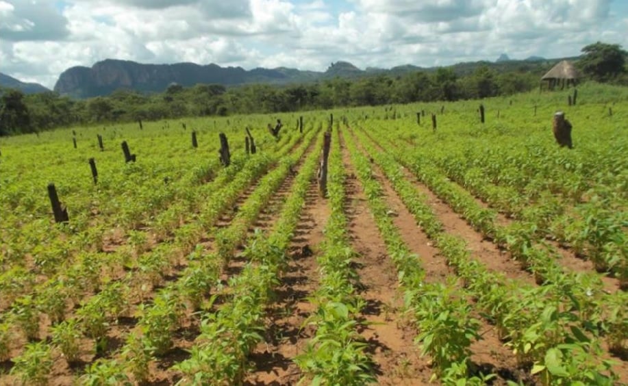 El programa de cooperación internacional de Bodegas La Rioja Alta abre su nueva convocatoria 3 El programa de cooperación internacional de Bodegas La Rioja Alta abre su nueva convocatoria 3