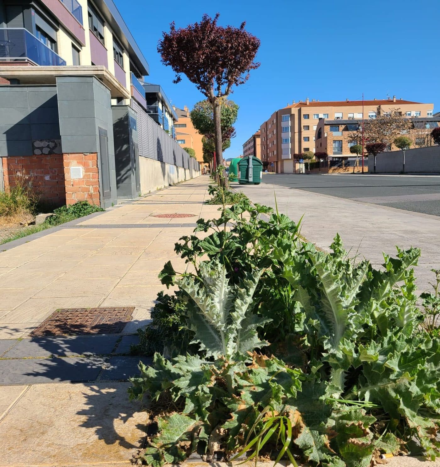 BUZÓN CIUDADANO: "Nosotros también pagamos impuestos" 1