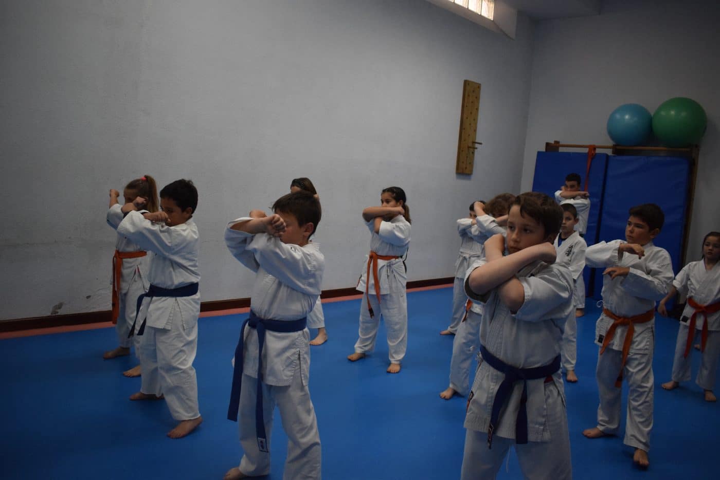 Haro será el escenario del Campeonato Interautonómico de Kyokushin el 27 de mayo 4 Haro será el escenario del Campeonato Interautonómico de Kyokushin el 27 de mayo 4