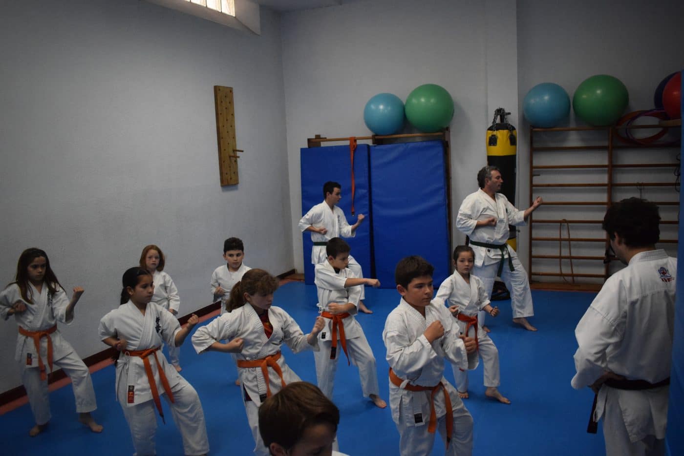 Haro será el escenario del Campeonato Interautonómico de Kyokushin el 27 de mayo 2 Haro será el escenario del Campeonato Interautonómico de Kyokushin el 27 de mayo 2